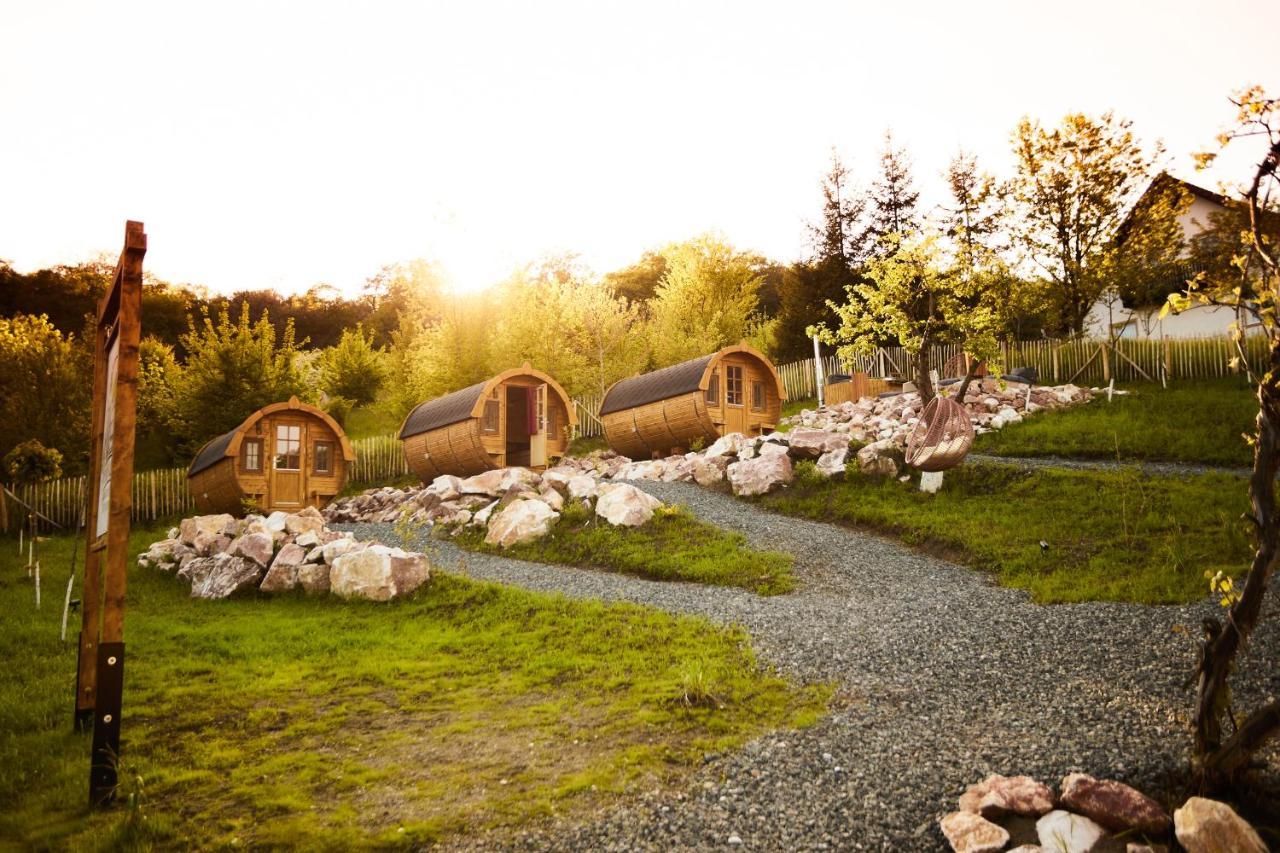 Complex Butoaiele Transilvaniei - Cazare & Spa - Natura - Relaxare Медіаш Екстер'єр фото