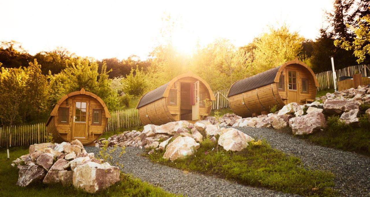 Complex Butoaiele Transilvaniei - Cazare & Spa - Natura - Relaxare Медіаш Екстер'єр фото