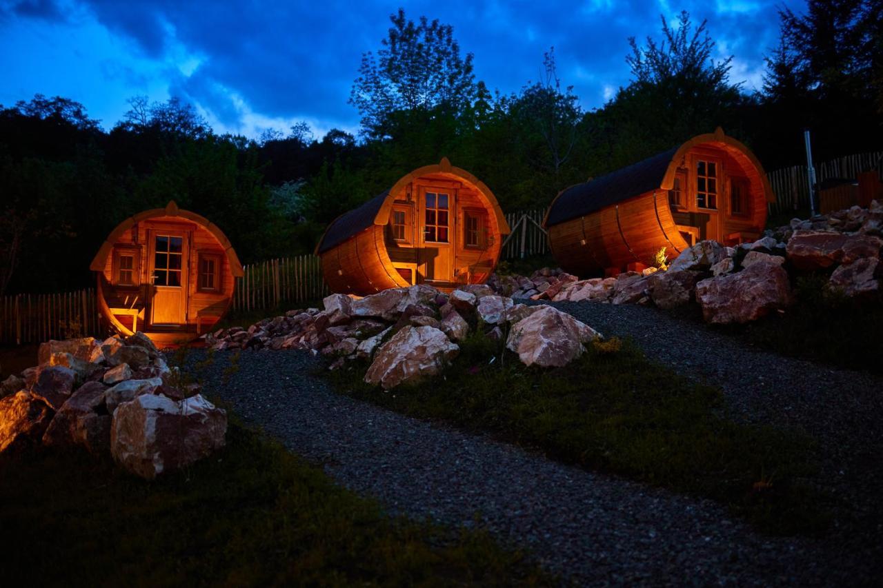 Complex Butoaiele Transilvaniei - Cazare & Spa - Natura - Relaxare Медіаш Екстер'єр фото