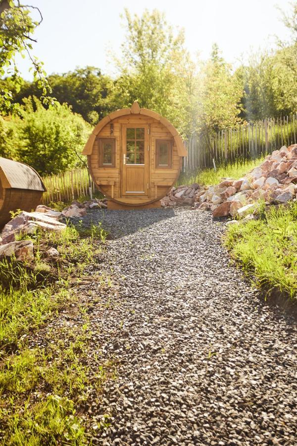 Complex Butoaiele Transilvaniei - Cazare & Spa - Natura - Relaxare Медіаш Екстер'єр фото