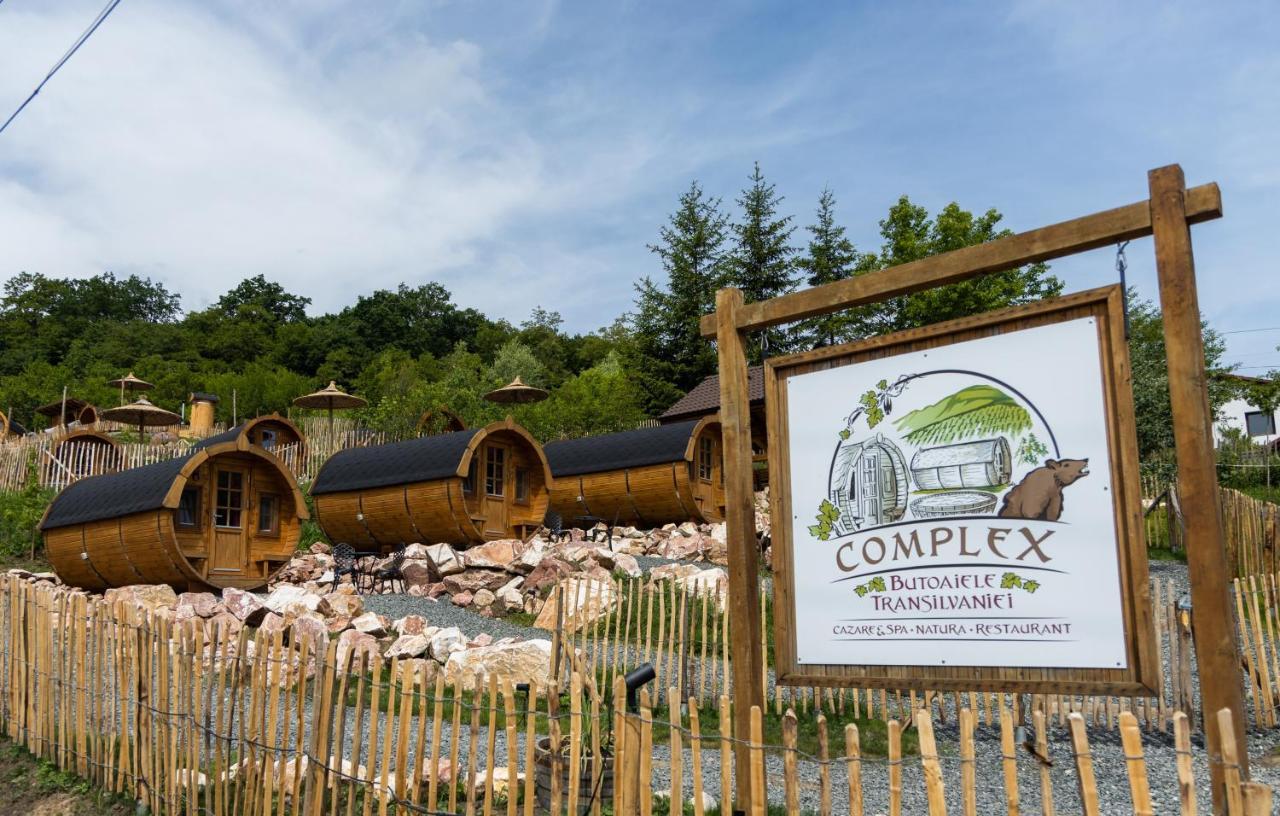 Complex Butoaiele Transilvaniei - Cazare & Spa - Natura - Relaxare Медіаш Екстер'єр фото