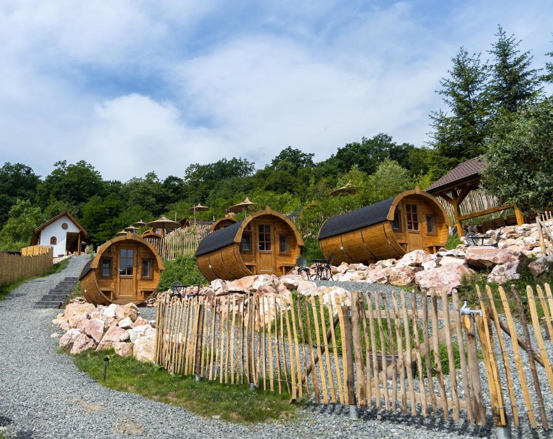 Complex Butoaiele Transilvaniei - Cazare & Spa - Natura - Relaxare Медіаш Екстер'єр фото