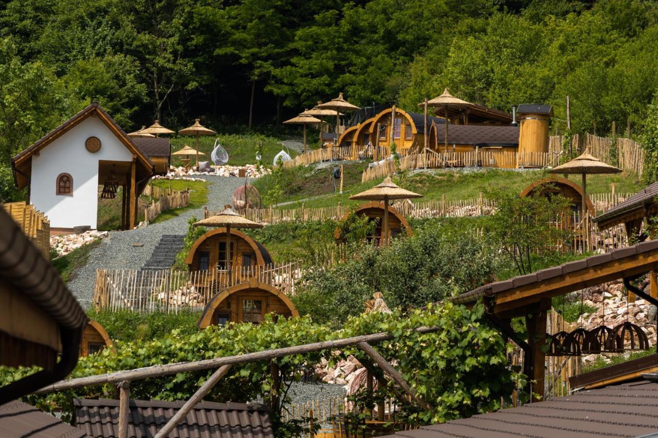 Complex Butoaiele Transilvaniei - Cazare & Spa - Natura - Relaxare Медіаш Екстер'єр фото
