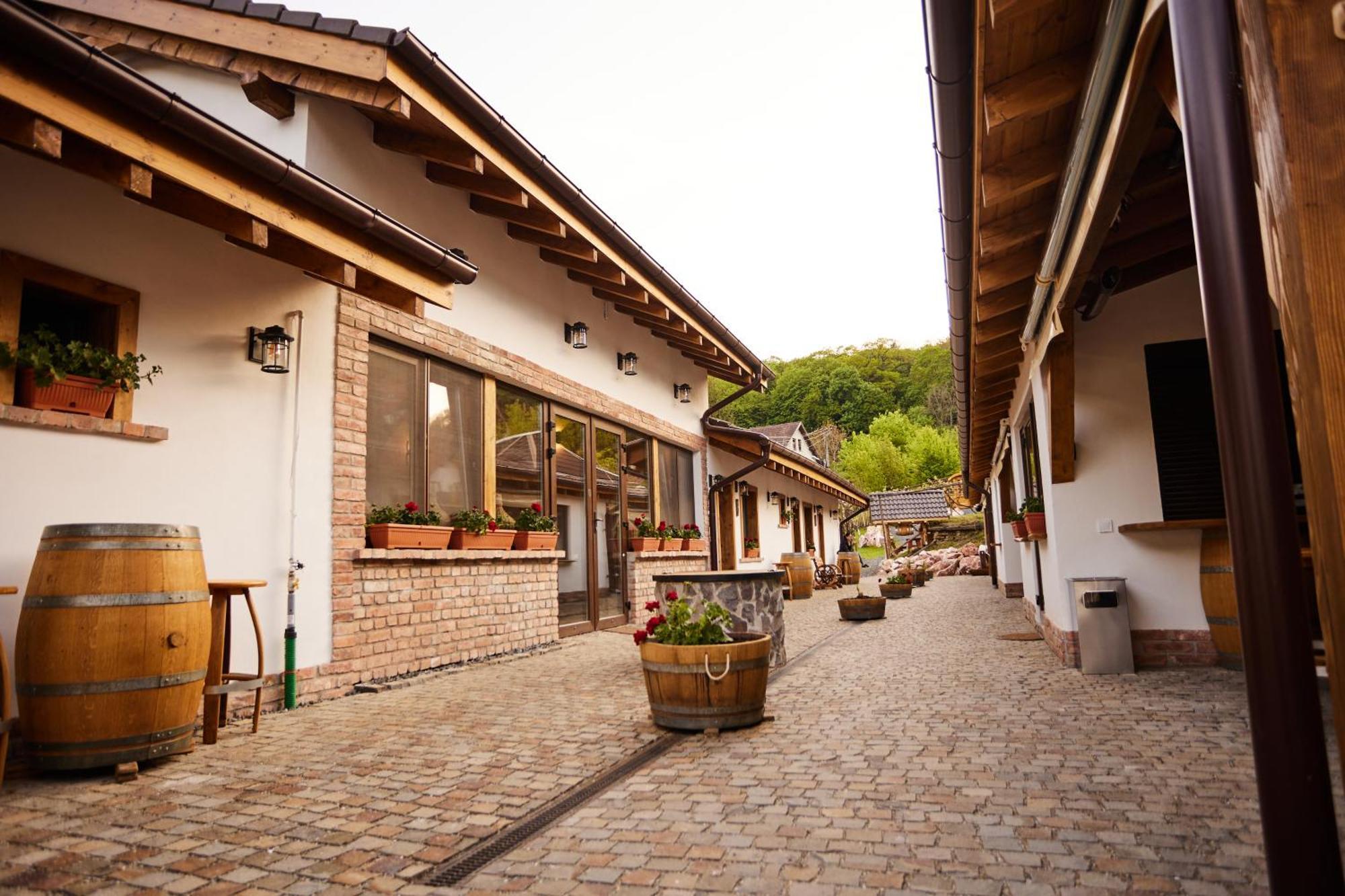 Complex Butoaiele Transilvaniei - Cazare & Spa - Natura - Relaxare Медіаш Екстер'єр фото