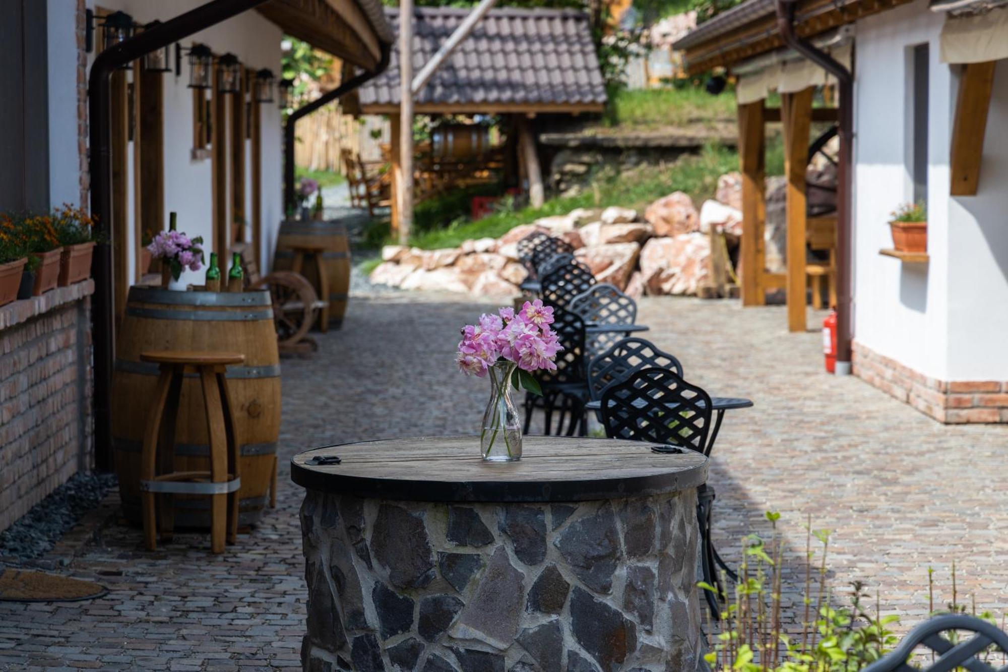 Complex Butoaiele Transilvaniei - Cazare & Spa - Natura - Relaxare Медіаш Екстер'єр фото
